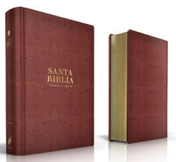 leer la biblia version reina valera 1960 online